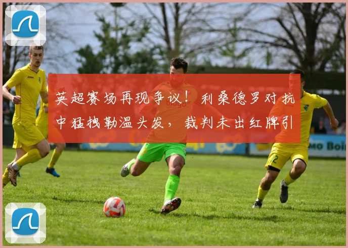 英超赛场再现争议！利桑德罗对抗中猛拽勒温头发，裁判未出红牌引热议，规则究竟如何界定？